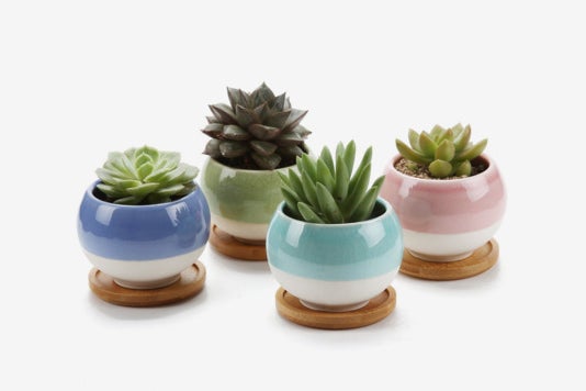 T4U Rachel’s Choice 3-inch Ball-Shape Plant Pots With Bamboo Tray (Set of 4).